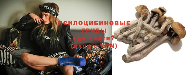 мяу мяу мука Арсеньев