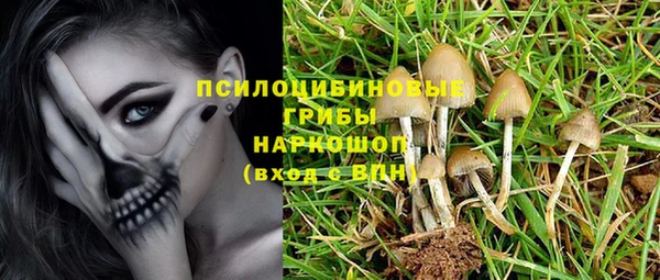 дмт Аркадак