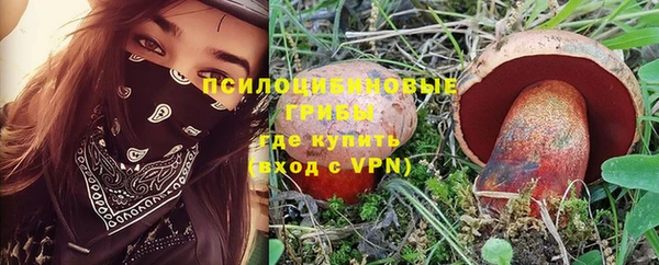 дмт Аркадак